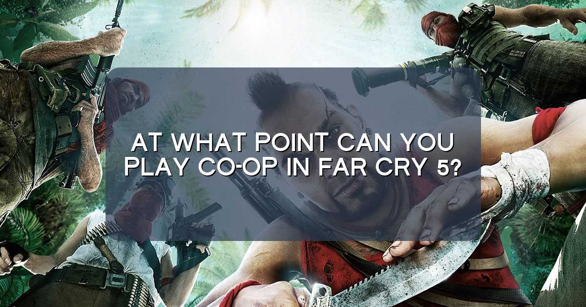 At what point can you play co-op in Far Cry 5?