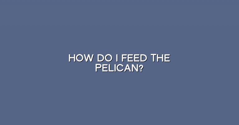 How do I feed the pelican?