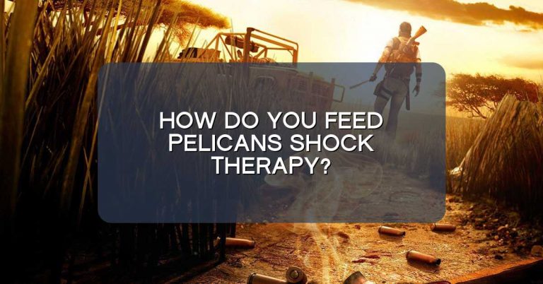 How do you feed pelicans shock therapy?